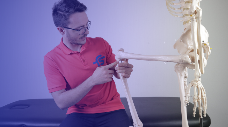 Fisioterapia a domicilio a Milano