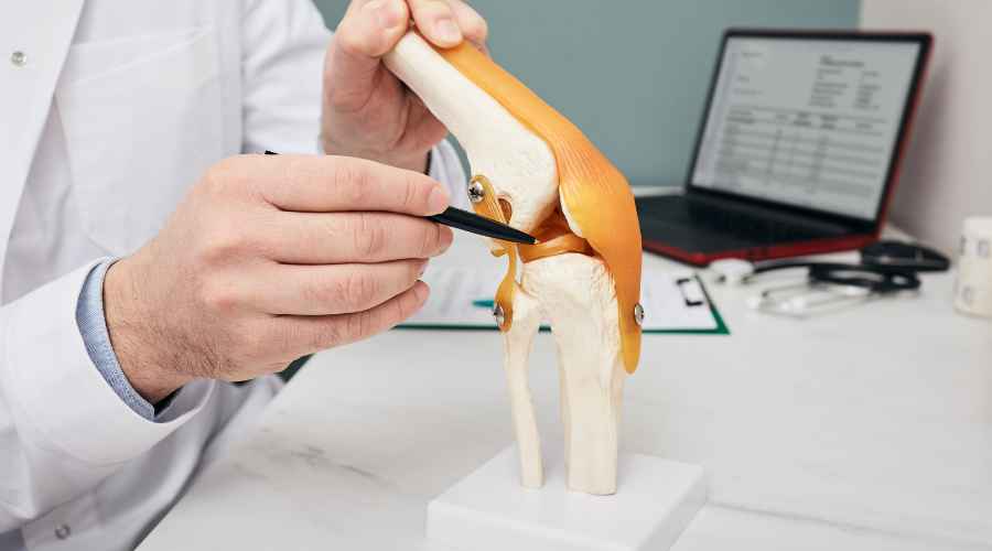 anatomia ginocchio