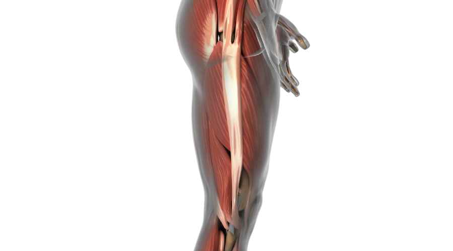 bandelletta ileotibiale