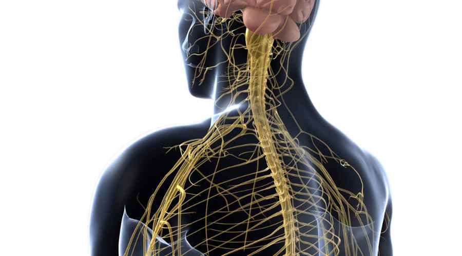 formicolio alle mani nervi